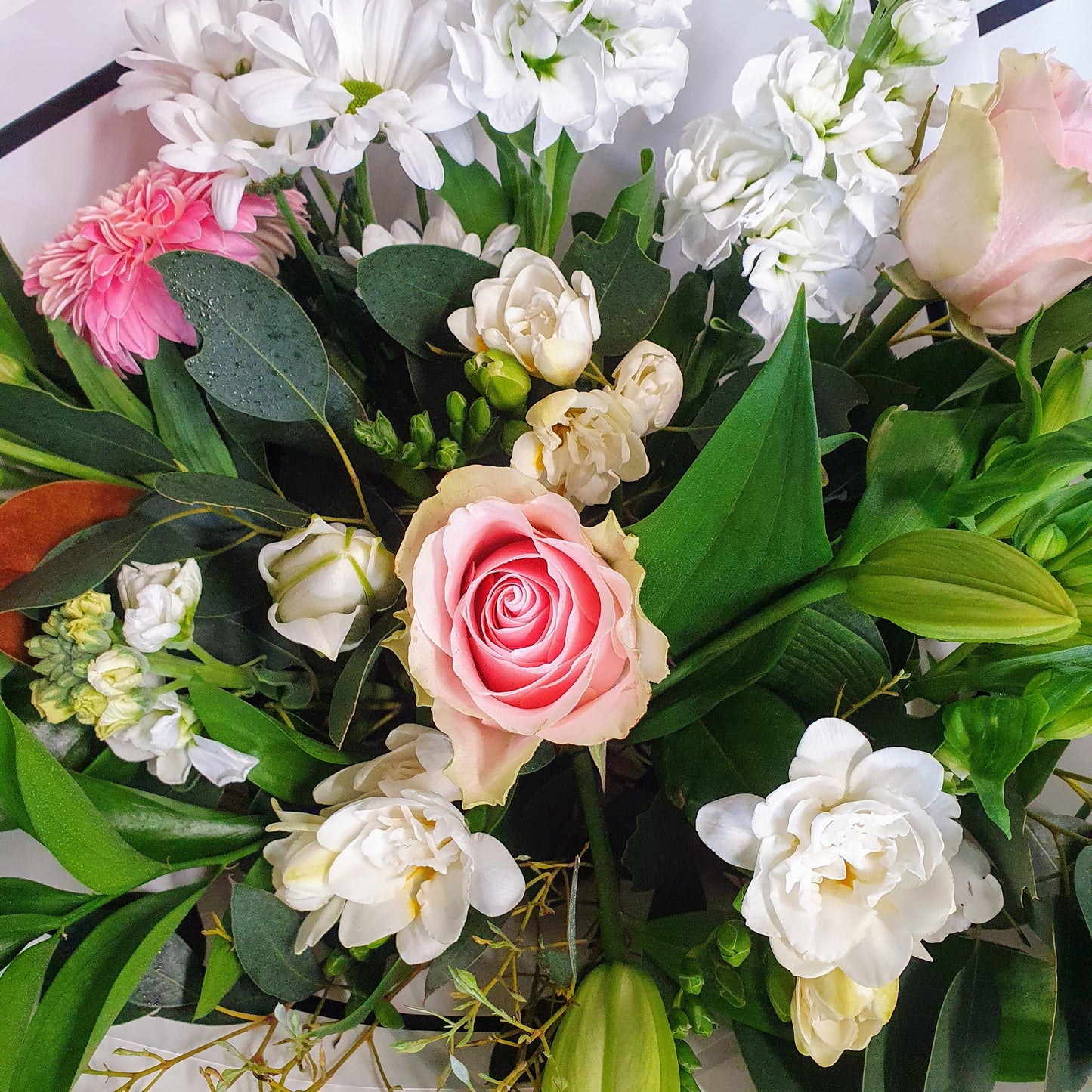 Mothers Day Waterbox