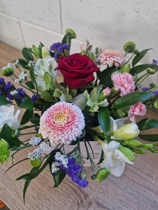 ' Blooms in a Box' - Small