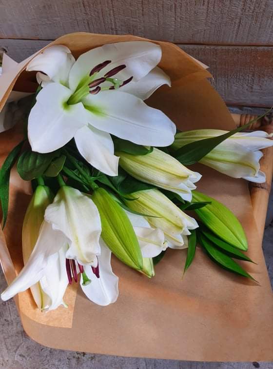 Lily Wrap - Lily Jacksons 
